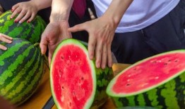 今日吃瓜官网,揭秘娱乐圈最新热点，带你畅游八卦海洋